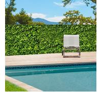 IDMARKET Brise vue occultant 2 x 10 M imprimé feuillage 160 gr/m²