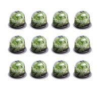 IDMarket - Cloche à salades x12 Serre de Protection pour Plants