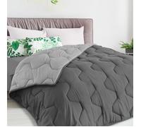IDMarket - Couette 220x240 CM Abby Bicolore Gris Clair et Gris 300 GR