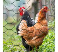 Grillage Pour Poules Vert 1x25m Maille 25mm Triple Torsion Clôture Souple Jardin Animaux Vert