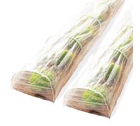 IDMarket - Lot de 2 Tunnels de forçage accordéon 4M