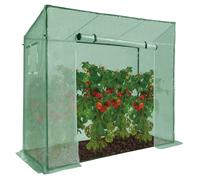 IDMarket - Serre de Jardin Verte Toutes Saisons avec fenêtre et Porte zippée