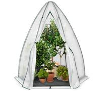 IDMarket - Serre d'hivernage dôme 160 x 160 x 180 cm Balcon et terrasse