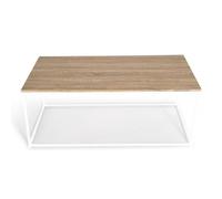 IDMarket - Table Basse Fixe Detroit Bois et Blanc | Rectangulaire, 113 x 60 x 45 cm, bois et pieds en métal blanc, design industriel