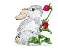 Idyllia Lapin et Framboises OS