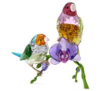Idyllia SCS Édition Annuelle 2024 Diamants de Gould OS