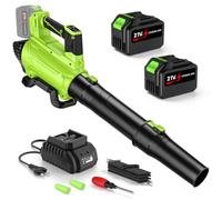 IERAKOR Souffleur Batterie avec 2 Tubes et 2 Batteries 4.5 Ah, Vert | Moteur Brushless, 225 km/h, 650 cfm, 6 Vitesses, Double Tube, 2 Batteries 4.5 Ah, sans Aspiration, pour Jardin et Auto