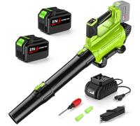 IERAKOR Souffleur Batterie avec 2 Tubes et 2 Batteries 4.5 Ah, Vert | Moteur Brushless, 225 km/h, 650 cfm, 6 Vitesses, Double Tube, 2 Batteries 4.5 Ah, sans Aspiration, pour Jardin et Auto