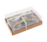 Ieron 6Pcs Bougies Cactus Bougies Succulentes, Faveurs de Fête de Mariage pour Les Invités, Faveurs de Bougies de Douche Nuptiale, Faveur de Pendaison de Crémaillère