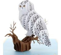 iGifts And Cards Carte de vœux pop-up 3D en forme de chouette magique - Animal, zoo, oiseau mignon, nocturne, amusement, remise de diplôme, joyeux anniversaire, juste parce que l'amour, l'amitié,