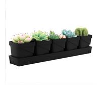 IGTOPS Lot de 5 pots d'herbes pour plantes d'intérieur avec plateau - Pour votre jardin d'herbes aromatiques et rebord de fenêtre - Décoration intérieure - Basilic, menthe, persil - Noir