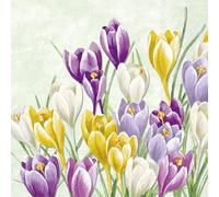 IHR Ideal Home Range Lot de 20 serviettes en papier Motif crocus Vert clair 33 x 33 cm