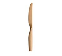 Iittala 1026333 CITTERIO Couteau