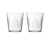 Iittala 2 verres à boire Taika Sato 38 cl Transparent