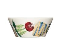 Iittala Bol Taika Sato 30 lanc-multicolore