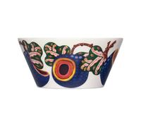 Iittala Bol Taika Sato 60 lanc-multicolore