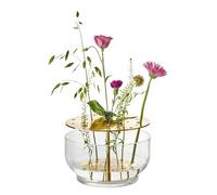 Fritz Hansen Vase Ikebana transparent grand H×Ø 15,5×24 cm