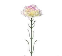 Œillet simulé 8cm pour fleur longue tige pour vase pour décor(Purple edge) | Tissu soie pour premium, couleurs vives, ne pas, touche naturelle, intérieur élégant