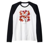 Illustration de Plante d'érable Japonais Acer palmatum Manche Raglan