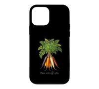 Illustration de Plantes de Carottes Daucus carota subsp. sativus Coque pour iPhone 12 Mini