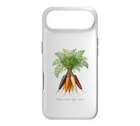 Illustration de Plantes de Carottes Daucus carota subsp. sativus Coque pour iPhone Air