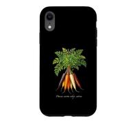 Illustration de Plantes de Carottes Daucus carota subsp. sativus Coque pour iPhone XR