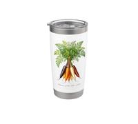 Illustration de plantes de carottes Daucus carota subsp. sativus Gobelet isotherme en acier inoxydable double paroi