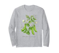 Illustration de Plantes de Pois Mange-Tout Pisum sativum var. macrocarpon Manche Longue