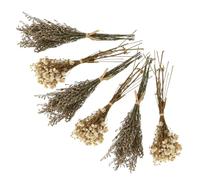 IMIKEYA Bouquet Créatif de Gypsophile Sèche 6 Pièces pour Décoration Intérieure et Extérieure, Fleurs Séchées Qui Ne Fanent Pas, Ornement Naturel en Herbe Couleur Couleur Aléatoire