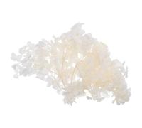 IMIKEYA Pétales de Fleurs Blanches Élégantes en Hortensia Conservé pour Décoration Nail Art et Fêtes, Matériau Pétale Naturel, 1 Pack de 20g pour Mariage et DIY