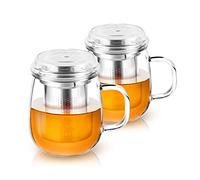 Impolio Lot de 2 verres à thé avec passoire en acier inoxydable 430 ml, cadeaux pour femmes, théière, verres, tasse, théière avec tamis matcha, lot de tasses (2 x 430 ml)