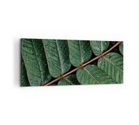 Impression sur Toile 100x40cm Tableaux Image Photo Gouttes Eau Feuilles