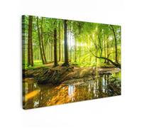 Impression sur Toile 120x80 cm - Décoration Murale Peinture - Motif Lumière de la forêt - MuchoWow