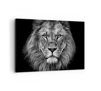 Deco Cadre Décoration Salon Portrait Lion Noir Et Blanc Moderne Impression sur Toile 120x80cm Image Tableau Decoration Murale Chambre Horizontal Art Wall Tableaux Decoratifs Muraux AA120x80-4494