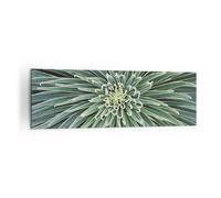 ARTTOR Tableau Décoratif sur Toile 160x50 cm Botanique Fleurs - 4905 | Agave Vert Usine Impression sur Toile Grand Décoration Murale Art Mural Toile Imprimée Salon Chambre Cuisine ARTTOR