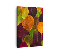 Impression sur Toile 50x70cm Tableaux Image Photo Automne Feuilles Graphismes
