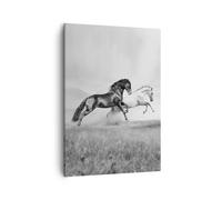 Impression sur Toile 50x70cm Tableaux Image Photo Chevaux Animaux galop prairie