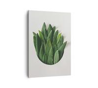 Impression sur Toile 50x70cm Tableaux Image Photo Sauge Médical Feuilles