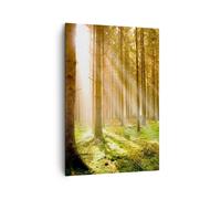 ARTTOR Moderne Impression sur Toile 70x100 cm Botanique Paysages - 0156