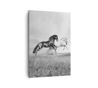 Impression sur Toile 70x100cm Tableaux Image Photo Chevaux Animaux galop prairie