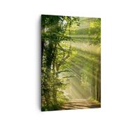ARTTOR Moderne Impression sur Toile 70x100 cm Paysages Forêt - 3661