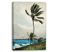 Impression sur toile (70x100cm): Winslow Homer - Palmier, Nassau