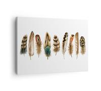 Impression sur Toile 70x50cm Tableaux Image Photo Blanc Arrière Plan Plumes
