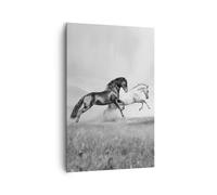 Impression sur Toile 80x120cm Tableaux Image Photo Chevaux Animaux galop prairie