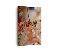 Impression sur Toile 80x120cm Tableaux Image Photo toile d'araignée moderne