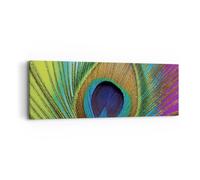 Impression sur Toile 90x30cm Tableaux Image Photo Paons Plume Arc En Ciel