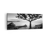 Impression sur Toile Moderne 100x40 cm Botanique Noir et Blanc - 4297