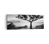 Impression sur Toile Moderne 140x50 cm Botanique Noir et Blanc - 4297 | Arbre ET Noir Moderne Tableau Décoratif Grand Décoration Murale Art Mural Toile Imprimée Salon Chambre Cuisine ARTTOR