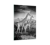 Impression sur Verre 50x70cm Tableaux Image Girafes Noir Et Blanc Photographie