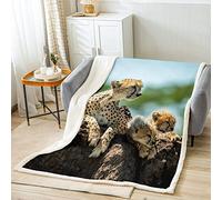 Imprimé Léopard Couverture en Flanelle 150x200cm pour Enfants 3D Imprimé Guépard Couverture Sherpa Animaux Sauvage Couverture floue Chambre Décor Léopard Famille Collection